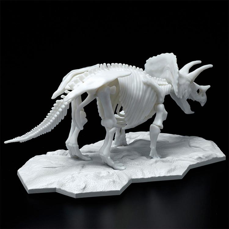Dinosaur Model Kit Rymax Skeleton Triceratops, Korean popular bandai