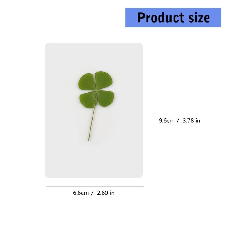 10Pieces Dried Leaf Bookmarks Page Divider Natural Dry Leaf Bookmarks for Kid Student Book Lover Reading Accessories