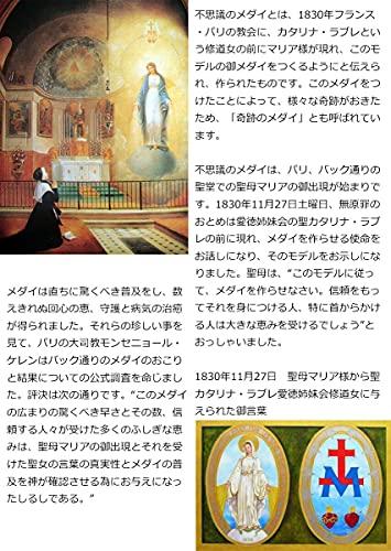 Silver One se Virgin Mary Necklace with Miraculous Medal, Turquoise, and Black Spinel [43cm Long] Natural Stone Beads for Men