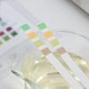 Urine Testing Strips 4 Parameter Urinalysis Test Strips Urine Dip Test Strips