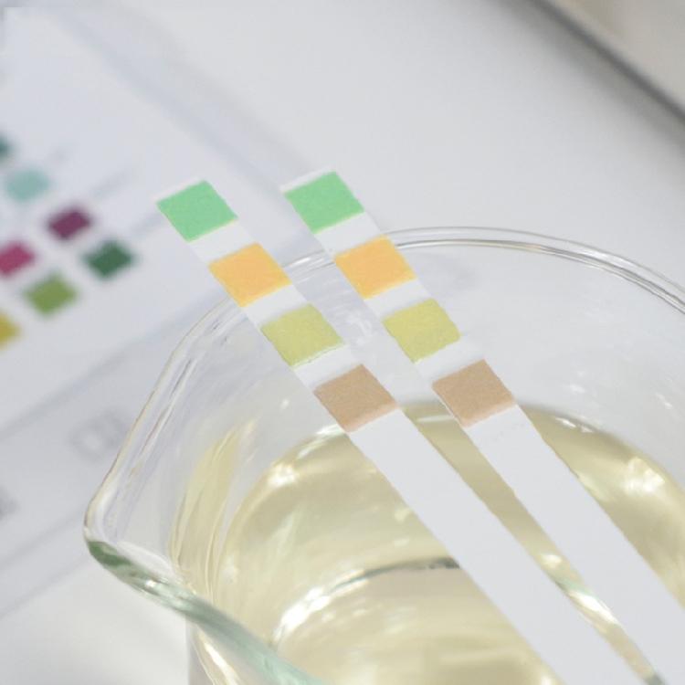 Urine Testing Strips 4 Parameter Urinalysis Test Strips Urine Dip Test Strips