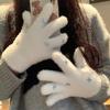 Cute Star Plush Gloves for Women Winter Sweet Girl Cold Proof and Warm Five Finger Wool Student Cycling White Gloves