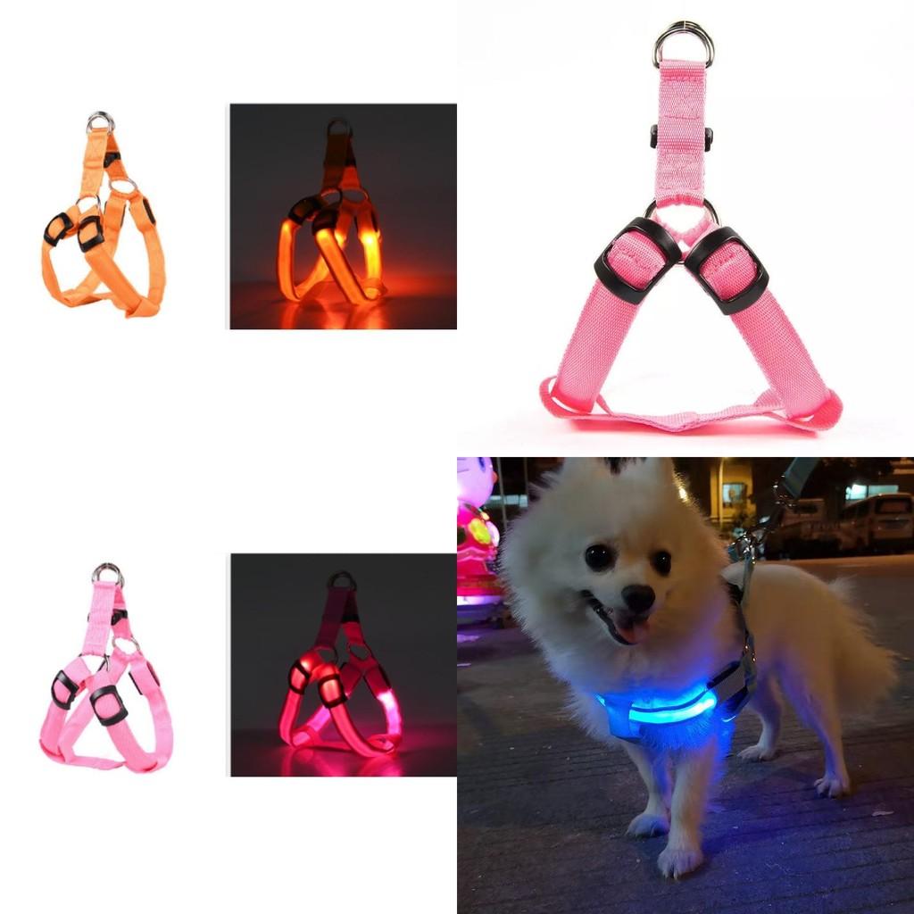 Versatile Led Pet Harness For Nighttime Walks With Adjustable Sizing For Dogs