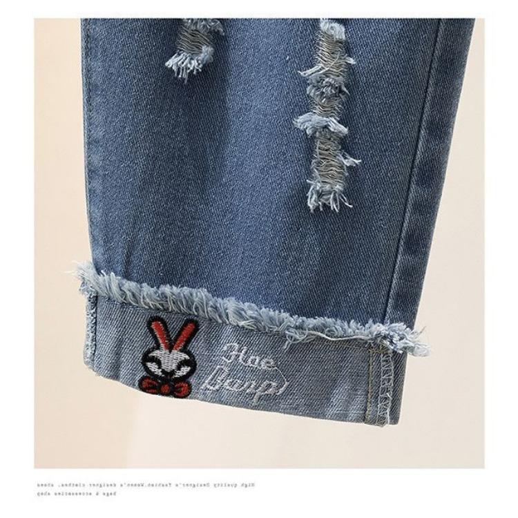Spring and Autumn Loose Elastic Waist Jeans Women's Embroidered High Waist College Style Harun Straight Pants
