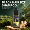 500ml Argan Oil Hair Dye Shampoo Hair Styling Fast Dye Hair Natural Gray White Hair Color Dye Treatment Hair Shampoo
