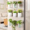 Wall-mounted Planter Self Watering Wall Planter with Reservoir Decorative Flower Pot for Indoor Outdoor Use Wall Mounted Plant