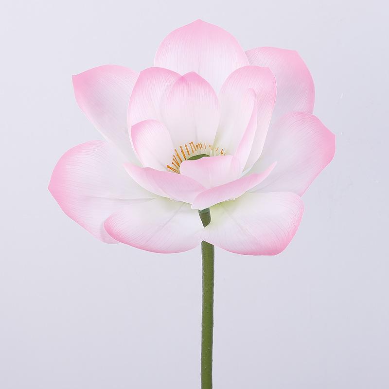 Explosive simulation 3D lotus plant lotus leaf false lotus pod ornament pool photography prop