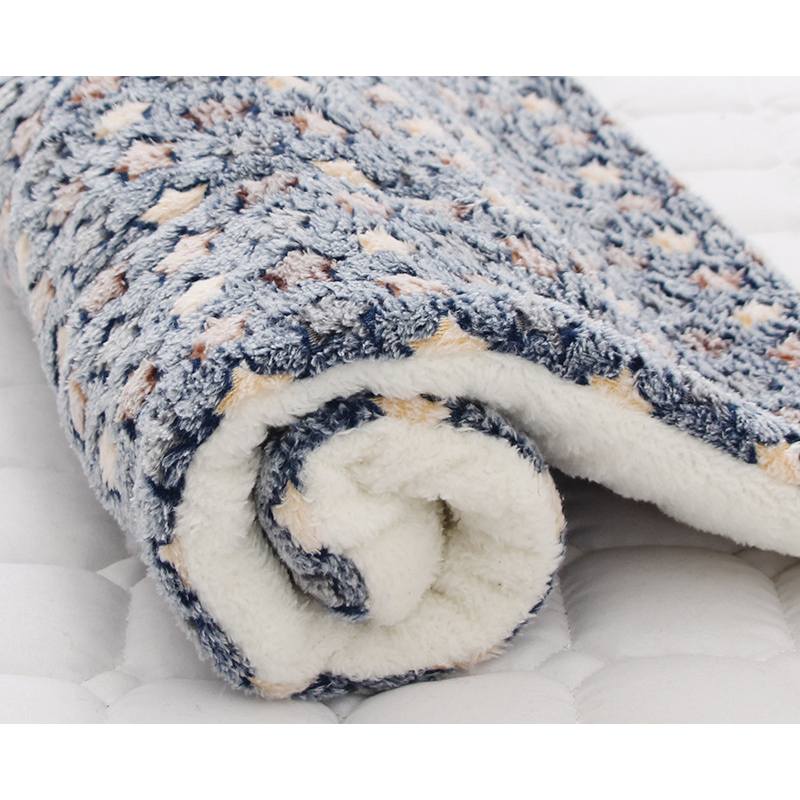Blanket Warm Pet Pad Beds Cartoon Pattern Antislip Cats Dogs House Lamb Fleece