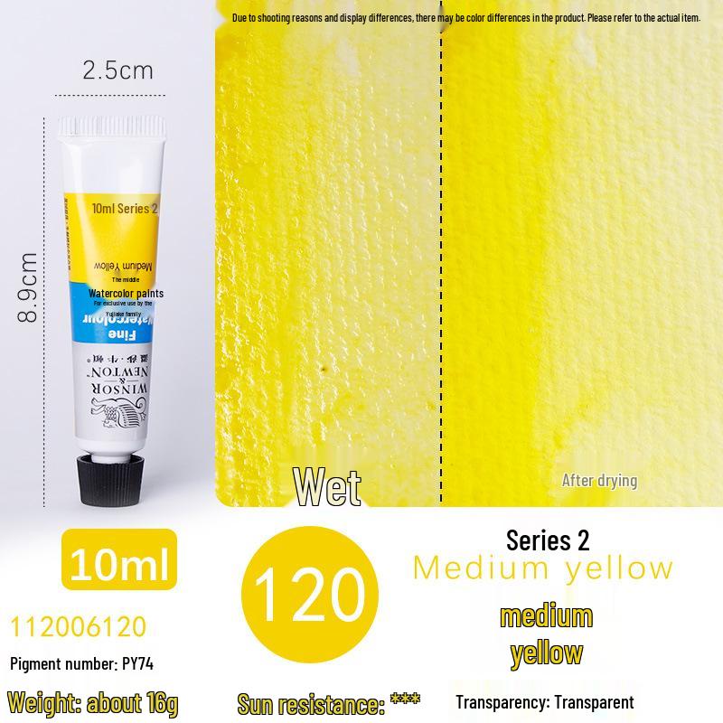 Winsor & Newton Professional Watercolor Set for Artists & Beginners