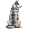 9 Styles Cute Dog Car Sticker Pet Dog Animal Car Sticker Waterproof Styling Automobiles Motorcycle Exterior Accessories Y205