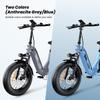 IScooter EB8 Elektrofahrrad 48V15Ah Akku 750W Motor City Elektrofahrräder 20 Zoll Reifen Faltbares E-Bike