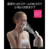 Panasonic Steamer Nano Care & Facial Massager Gold EH-SA4PCM-GN