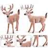 Animal Model Simulated PVC Home Decoration Beaver Anteater Squirrel Monkey White Tail Deer Fox Figurine for Children