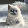 Cute Big Kitty Cat Taba Silicone Fuzzy Super Big Cat Kitten Handmade Squeeze Toy Mochi Toy Hand Relax Stress Release Gift