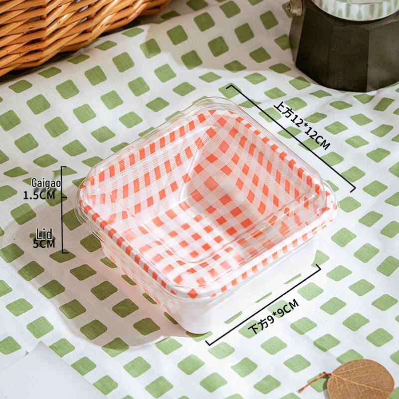 Disposable Picnic Food Containers