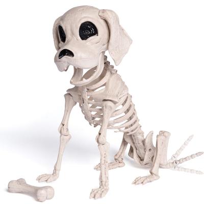 Joyfy Chien Squelette Halloween 9.8 Pouces Squelette Décoration Halloween Pose-N-Stay pour Décoration Hallowmas Fête Maison Hantée Extérieure