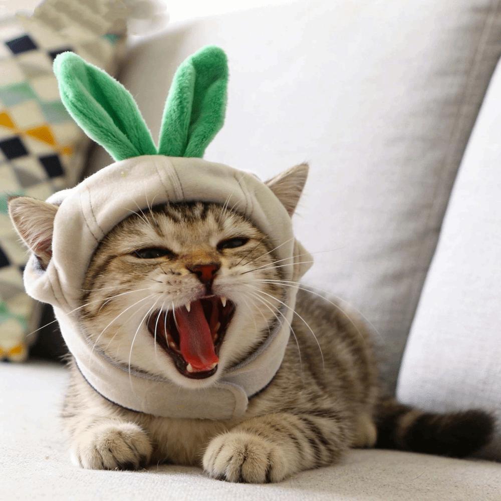 Funny Pet Garlic Hat Cartoon Dog Headdress Pet Costume Pet Headgear  Birthday Party