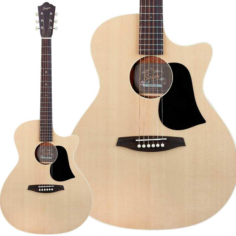 

aNueNue GA01 Acoustic Guitar Top Single Plate Grand Auditorium Case Included AnueNue