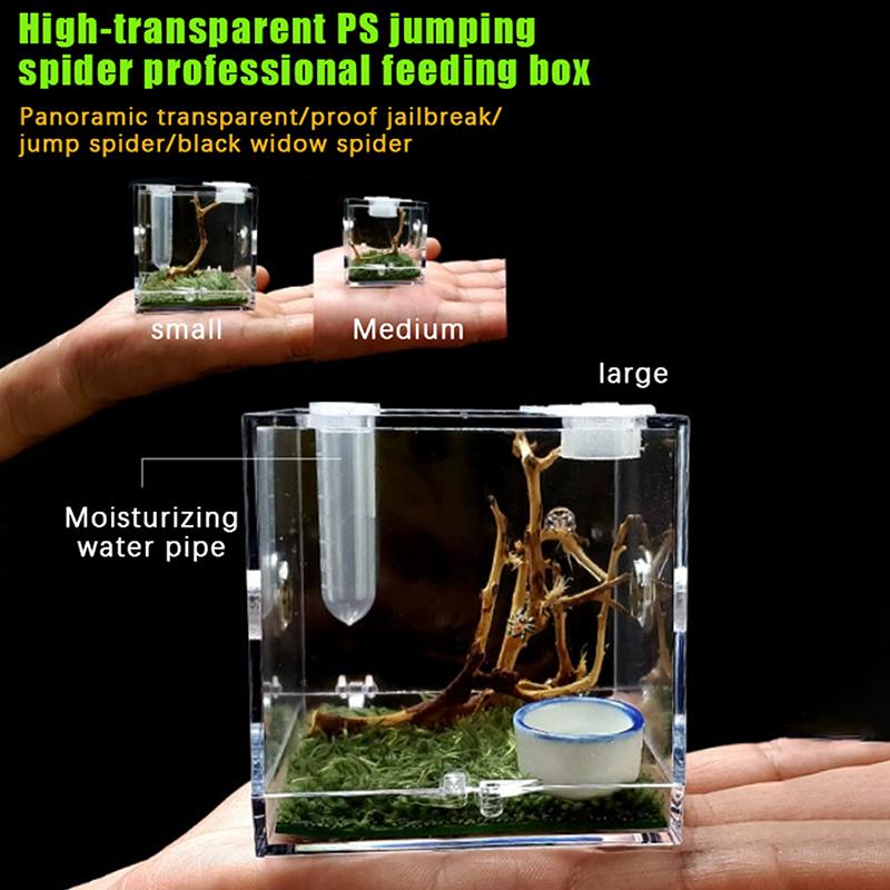 Springspinne Terrarium - Acryl Reptilien Zuchtbox Springspinne Box Mit Licht Luftbefeuchter Futterbehälter Zubehör