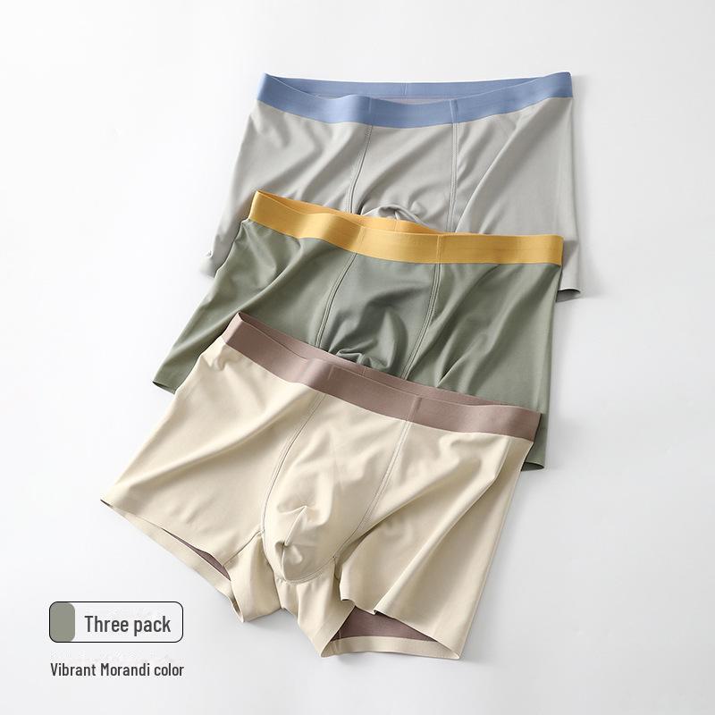 

100S бесшовные дышащие мужские трусы-боксеры телесного цвета из модала и шелка Lenzing, дорожная упаковка XL (Recommended 120-140 kg)