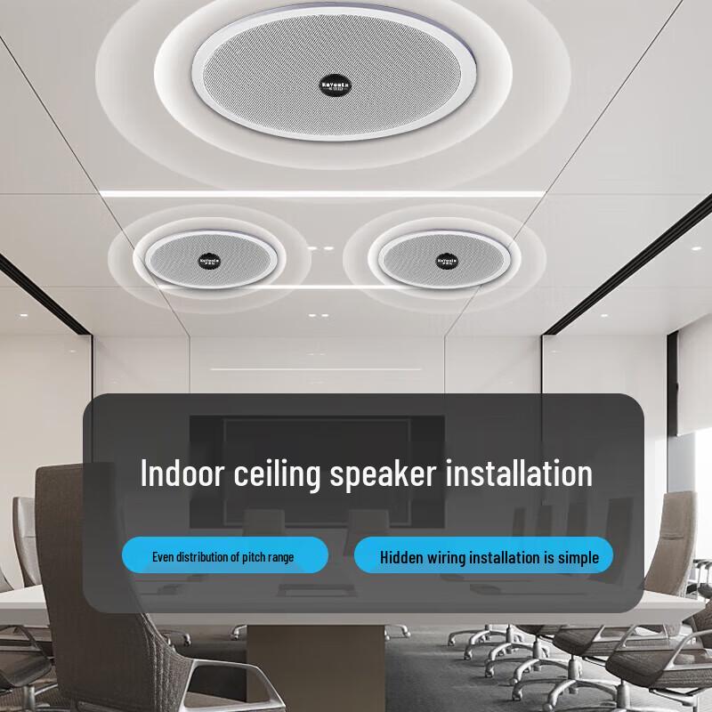 KaYouLa Professional Ceiling Audio Speakers and Horns (CN version)