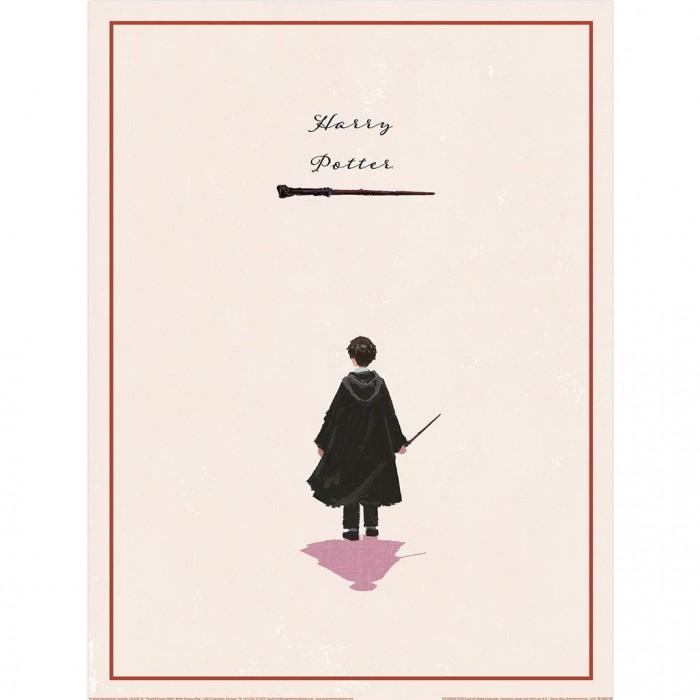 Harry Potter Looking Forward Harry Alone Print