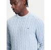 Tommy Hilfiger Classic Sweater