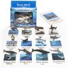 Children's Educational Learning Cards: 12 Types of Hand-Painted Dinosaur and Marine Animal Models