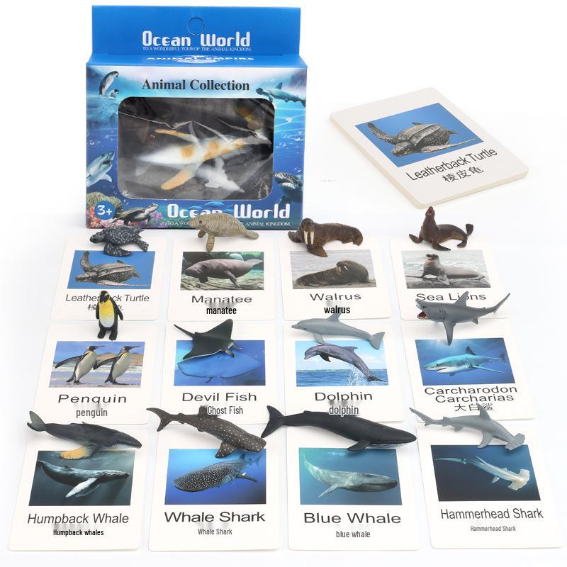 Children's Educational Learning Cards: 12 Types of Hand-Painted Dinosaur and Marine Animal Models