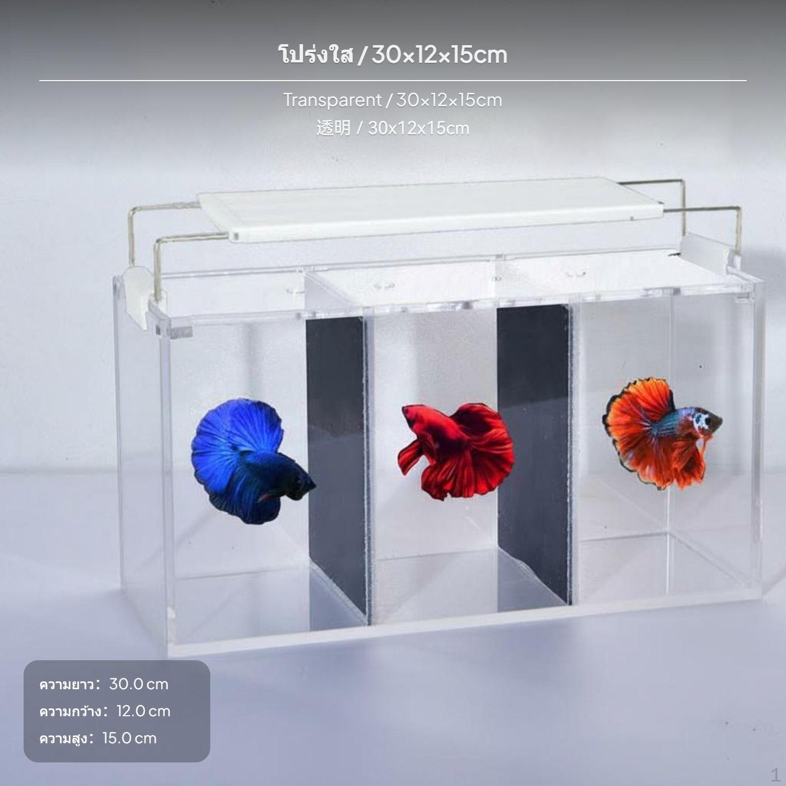 30cm Akrila Betta Zivju Tvertne, Darbvirsmas
