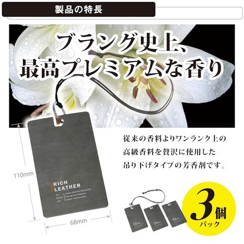 Carmate H1663 Hanging Air Freshener for Cars and Rooms, Set