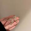 1 Pair Stud Earrings for Women, Micro-Paved Cubic Zirconia Flower Design Ear Studs, Jewelry Gift for Daily Wear