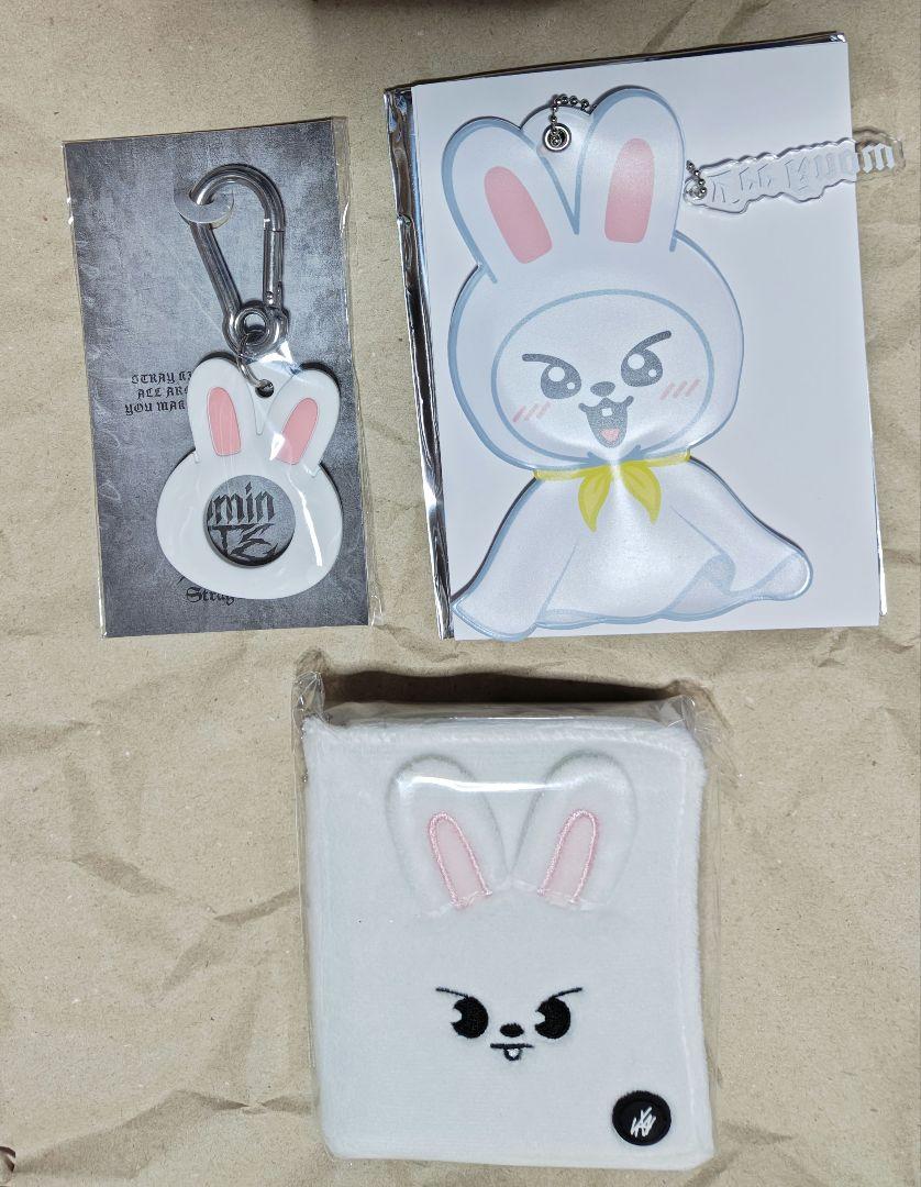 

[USED] StrayKids Reno Plastic Bottle Holder Photo Card Case Keychain