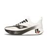 Li Ning Red Hare 8PRO Antypoślizgowe, Odporne na ścieranie, Oddychające Niskie Codzienne Buty do Biegania Unisex Czarne Białe ARPV003-1(Team439-)