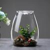 Micro Landscape Glass Bottles with Cover Fresh Green Succulent Moss Bottle Glass Vase Glass Terrarium Bonsai Home Desktop Decor
