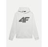 Толстовка 4F 4FWMM00TSWSM1464