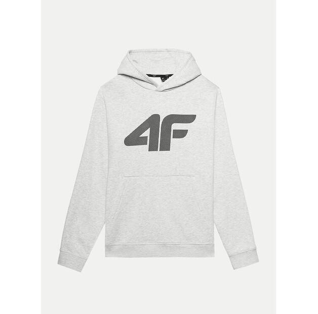 Толстовка 4F 4FWMM00TSWSM1464