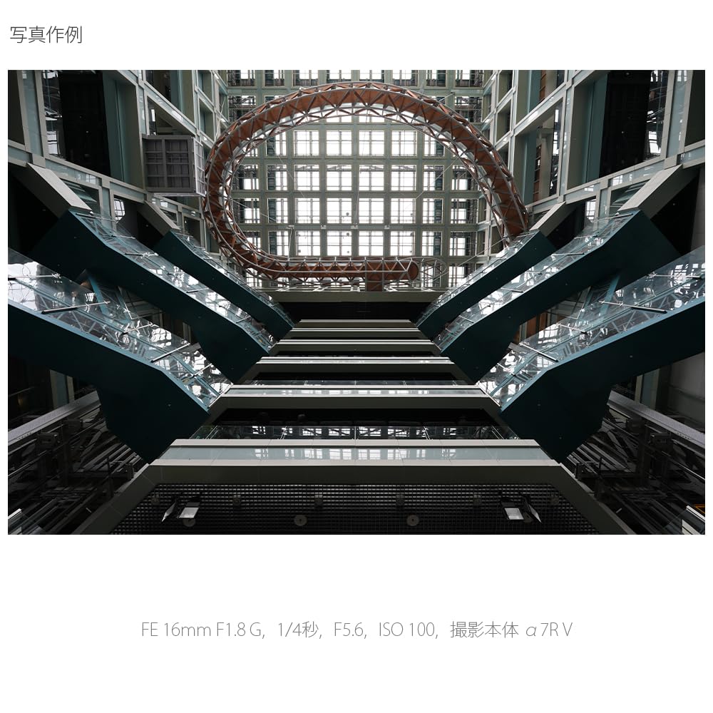 Sony SEL16F18G Prime FE 16mm G Genuine Lens for Digital SLR Cameras Wide-Angle Lens, F1.8 Lens, Full-Frame [E-Mount]