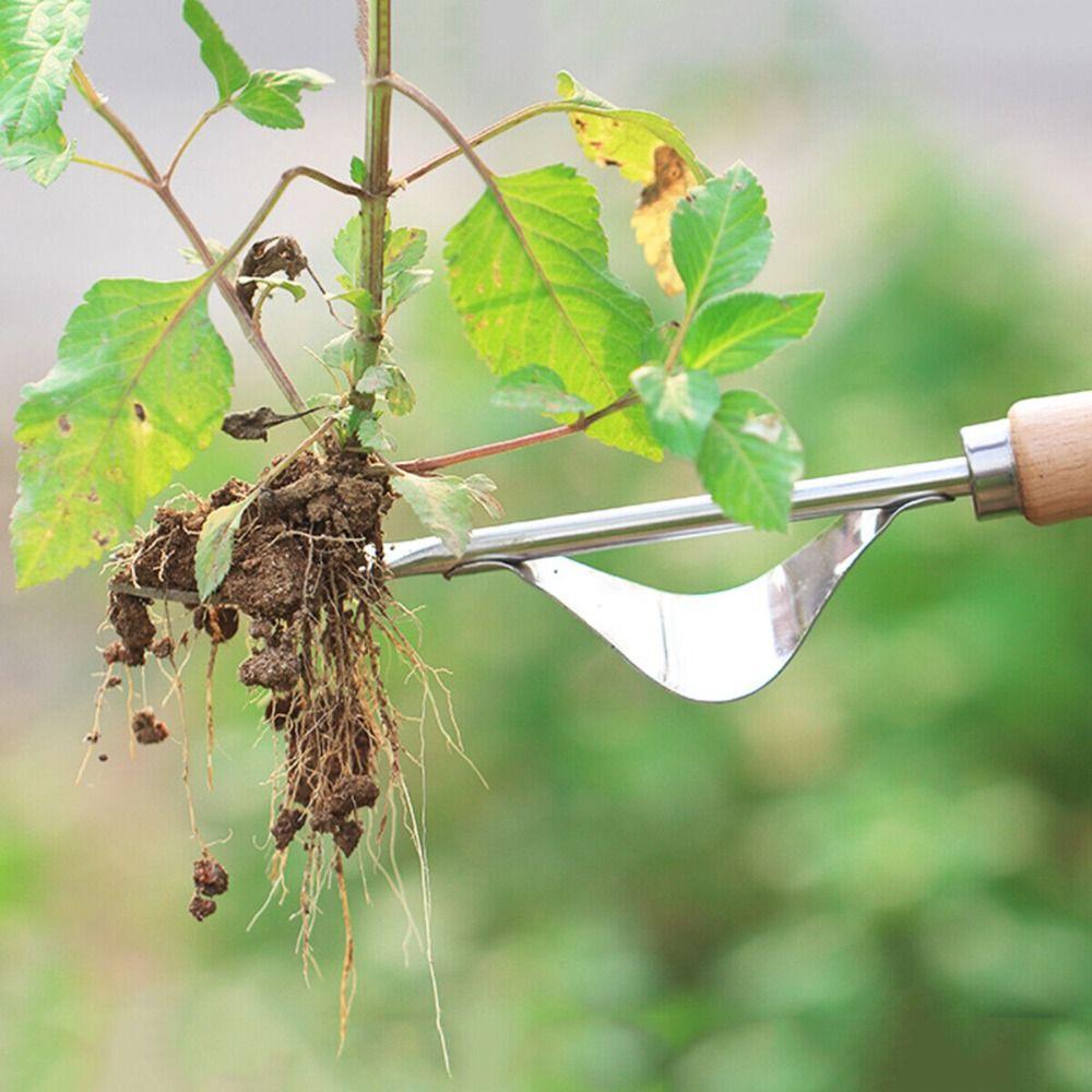 Unealtă manuală de grădinărit cu mâner de lemn, pentru îndepărtarea buruienilor și a păpădiilor, unealtă pentru gazon