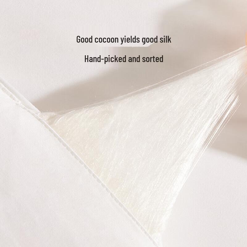 Canhua Niangniang 100% Mulberry Silk All-Season Quilt