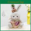 Plush Rabbit Toy With Pink Dress Soft Rabbit Stuffed Animal For Gift Kids