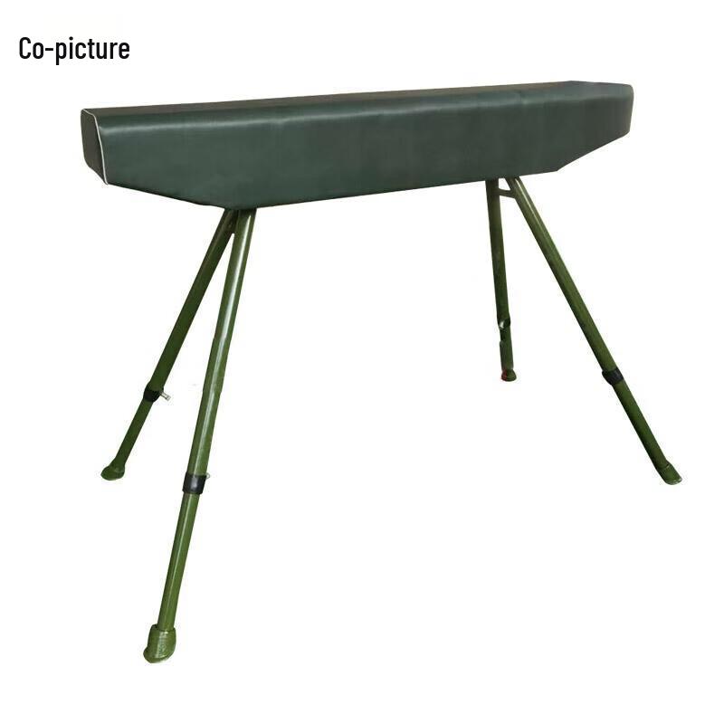 Professional Gymnastics Pommel Horse