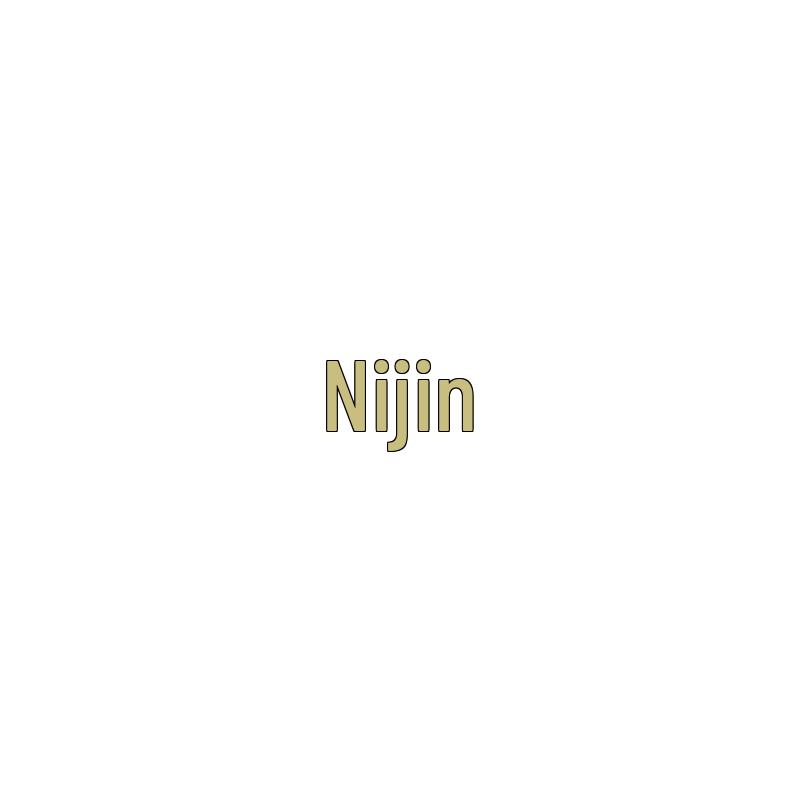 Nijing Engine Oil Dipstick for Jiangling V348 Transit 2.4L