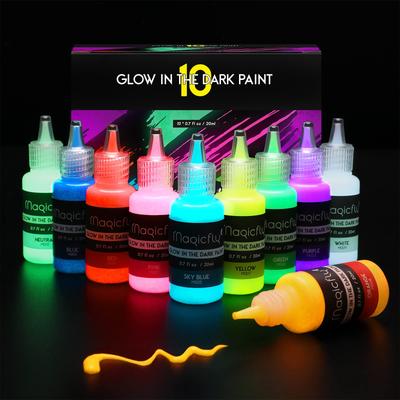 Magicfly Akrylová Zářící v Akrylu 10 Barev Akryl Lze Malovat na Rychlé Barvení Umělecká Barva, Tmavá, Pigment, Luminiscenční, Sada, Barva, 20ml,