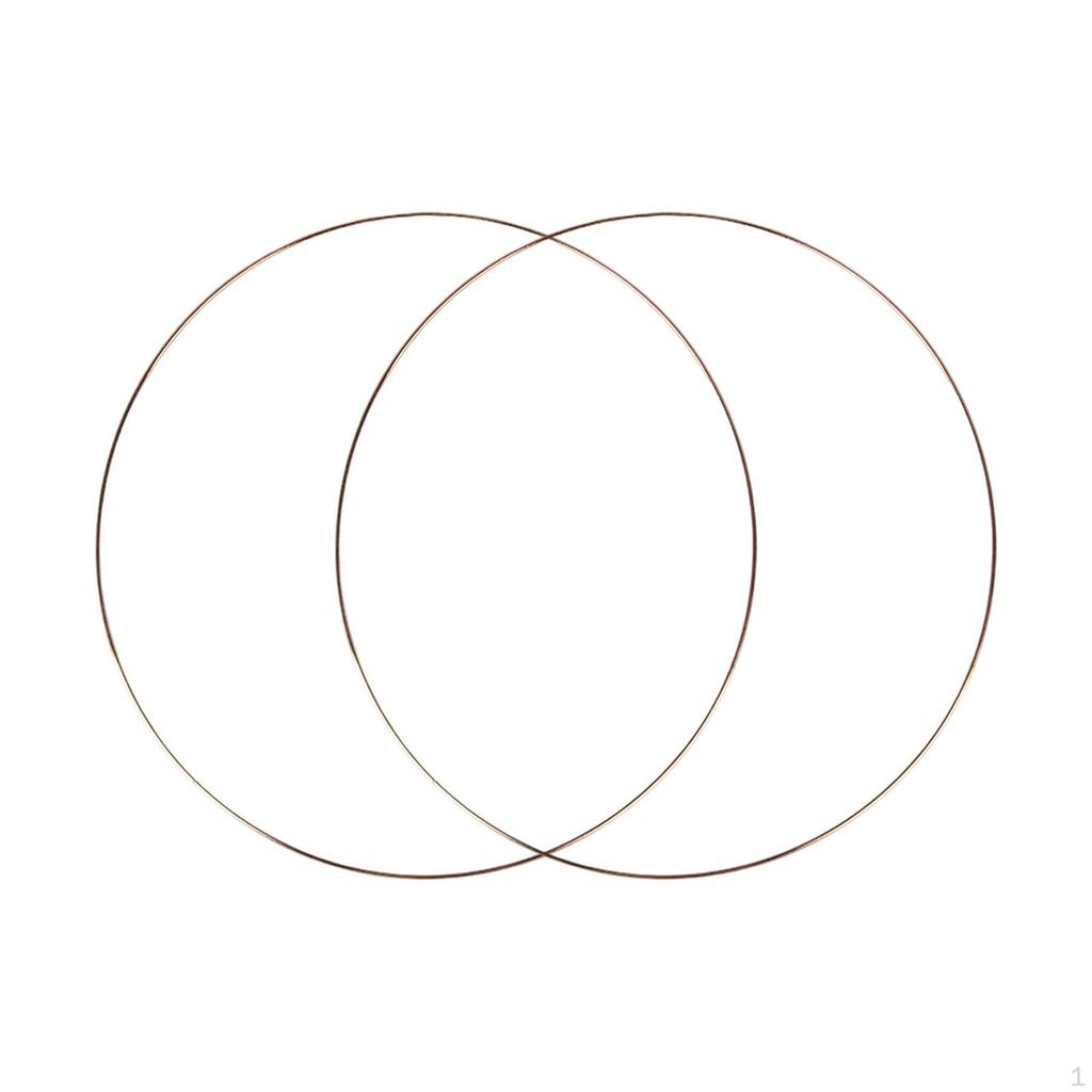 2 Pieces Metal Floral Hoops Craft Iron Rings Round for Macrame Crafts DIY Dreamcatcher