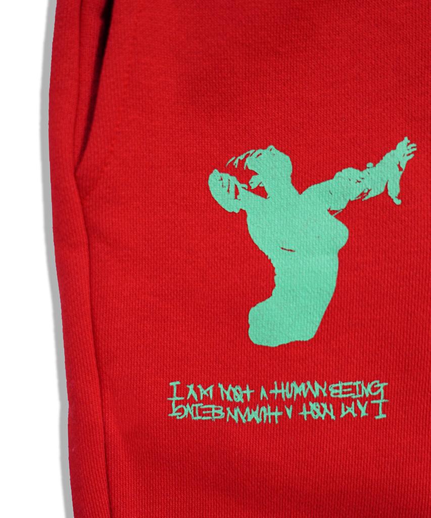 Aimnaseohyumeonbiing Ballerina Sweat Pants - Wine