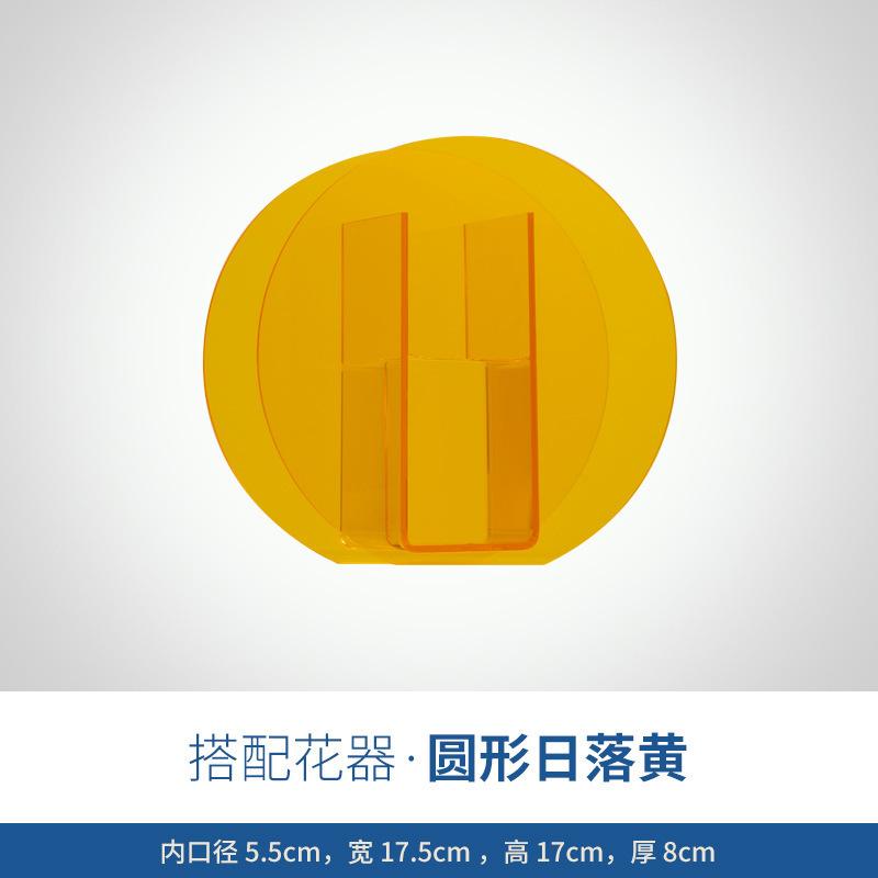 Ins-Stil Acrylvase Kreative Kunst Wellige Blume Hydroponische Blumenanordnung Tischdekoration Transparente Vase