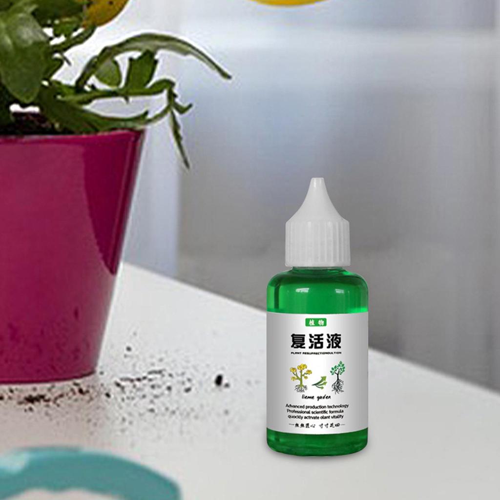 Flowers Fruit Vegetable Fertilizers Fertilizing Liquid Concentrate Plant Resurrection Liquid Fertilizer Promotes Healthy Growth