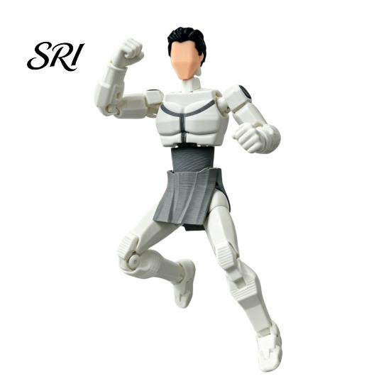 Poseable Figure Cartoon Character Action 3D Printed Posable Articulated Model Collectible Figurine Fidget Toy Decoration Anime Fans Gifts F