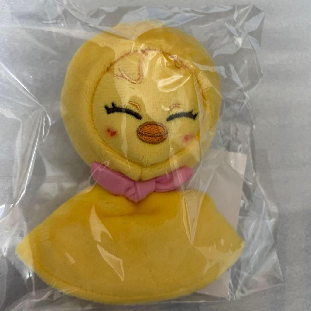 [USED] straykids dominATE Pogarifelix bag charm